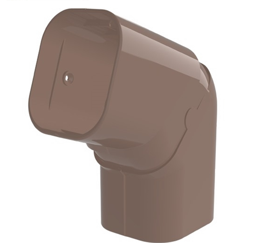 bruin